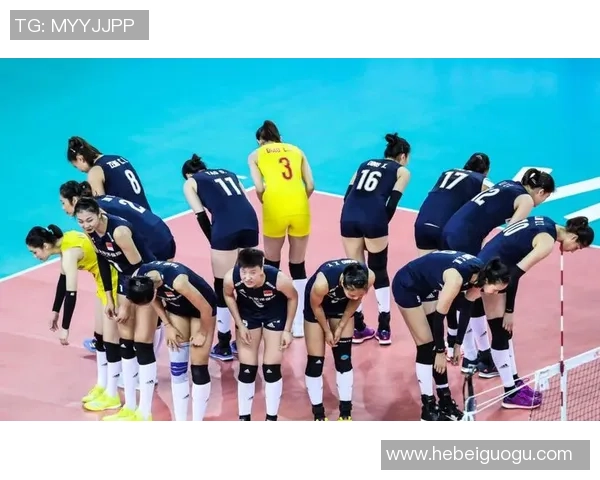 上海排球队节奏表现分析:数据背后的秘密与启示 上海排球队节奏表现分析:数据背后的秘密与启示