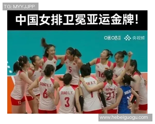 杭州排球队的力量解析与未来发展展望 杭州排球队的力量解析与未来发展展望